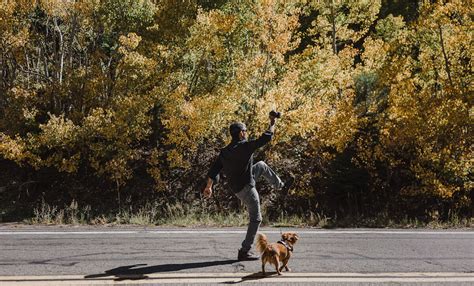 The PERFECT dog friendly Mammoth Lakes guide