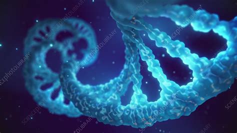 DNA molecule, animation - Stock Video Clip - K010/4259 - Science Photo ...