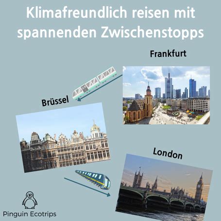 Klimafreundlich Und Nachhaltig Reisen Ohne Fliegen Mit Pinguin Ecotrips