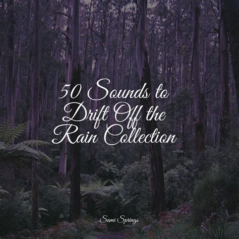 50 Sounds To Drift Off The Rain Collection Album By Massagem Spotify