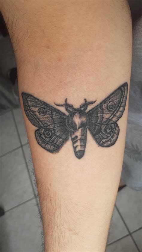 Top Moth Elbow Tattoo Best In Cdgdbentre