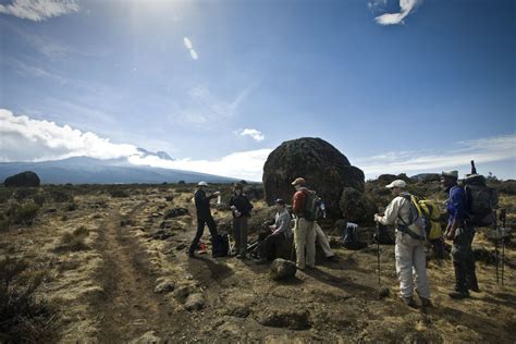 Kilimanjaro Wildlife (Animals)