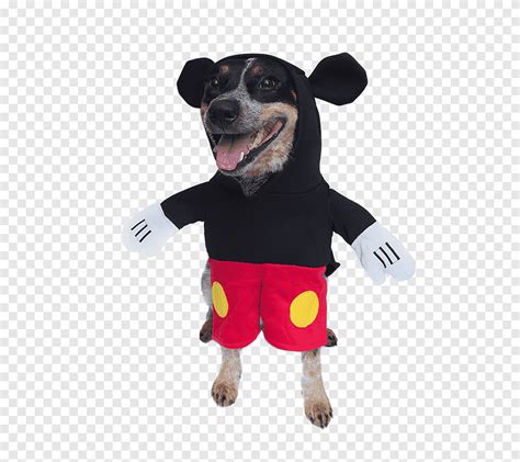 What Is A Mickey Dog Breed