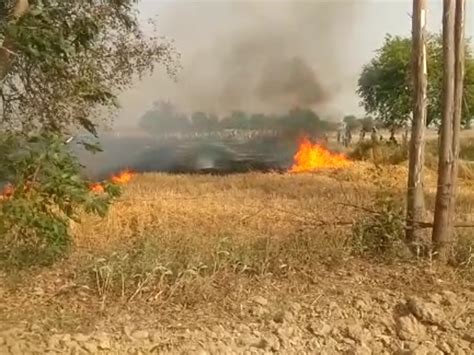 Wheat Crop Planted In 15 Bighas Was Burnt To Ashes Fire Brigade