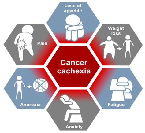 Cancers Free Full Text Molecular Mechanisms And Current Treatment