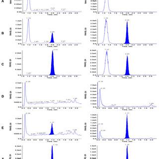 Representative Chromatograms Of Extracted Double Blank Plasma A And