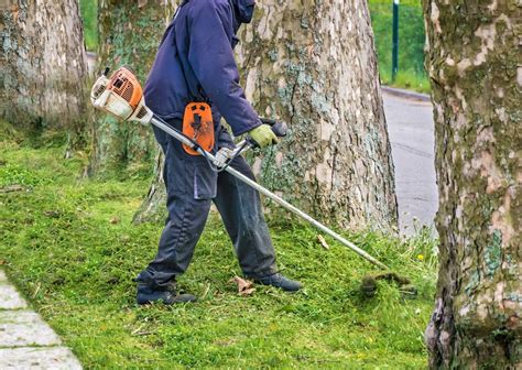 Les Epi Indispensables Pour Une équipe De Paysagistes