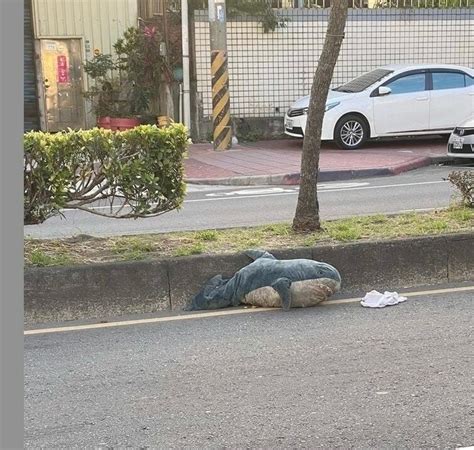 【心得】不能跟曖昧對象色色或聊色怎麼辦 場外休憩區 哈啦板 巴哈姆特