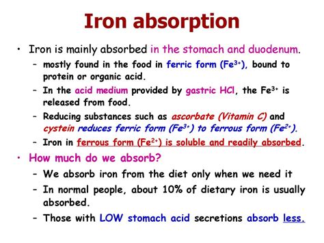 Mineral Metabolism Ppt Download