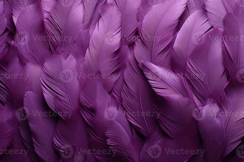 Purple Feathers Background Purple Feathers Pattern Feathers