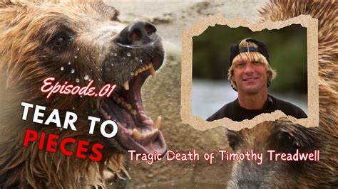 TEAR TO PIECES, Tragic Death of Timothy Treadwell by Grizzly Bear - YouTube | Earth Media ...