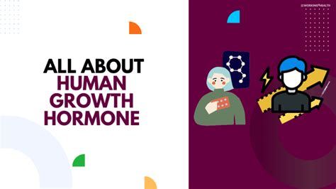 Human Growth Hormone: Everything You Should Know - Working for Health