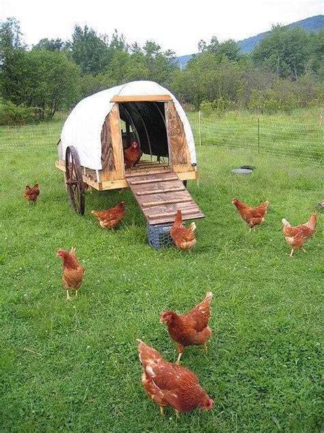 Covered Wagon Coop Chicken Coop Chicken Tractors Chickens Backyard