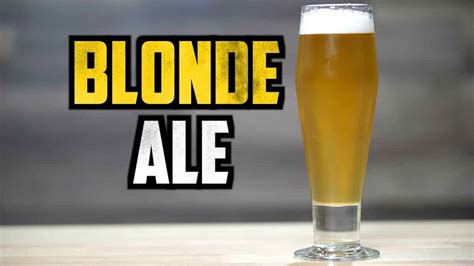 Sour Blonde Ale Recipe | Deporecipe.co