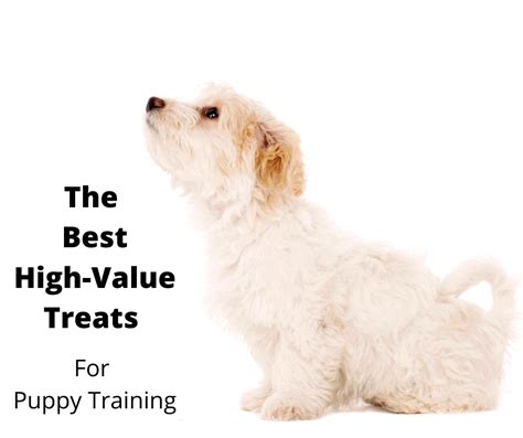 The Best High Value Treats For Puppy Training Au