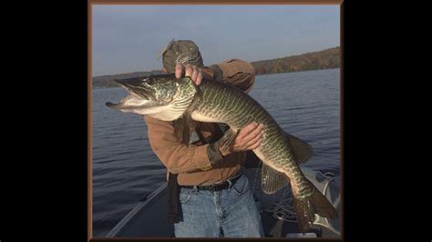 Lake Nockamixon Fall Feeding Frenzy Youtube