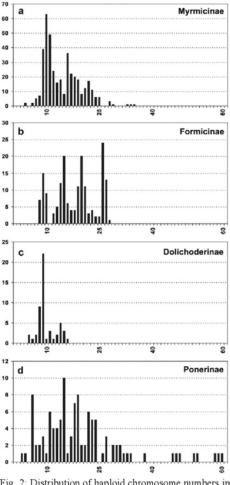 Pdf Karyotype Evolution In Ants Hymenoptera Formicidae With A