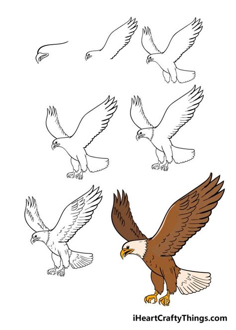 How To Draw An Eagle A Step By Step Guide Eagle Drawing Eagle