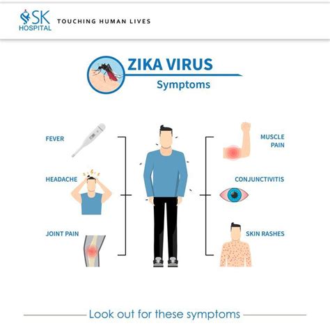 Zika Virus: Look out for these symptoms #ZikaSymptoms #ZikaVirus Zika ...