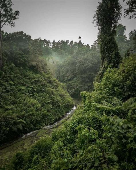 Air Terjun Telunjuk Raung Banyuwangi Lokasi Dan Harga Tiket Masuk