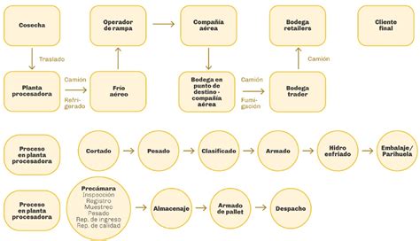 La cadena de suministro del espárrago