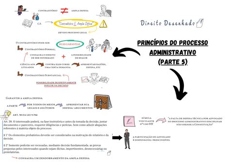 Princ Pios Do Processo Administrativo Direito Administrativo