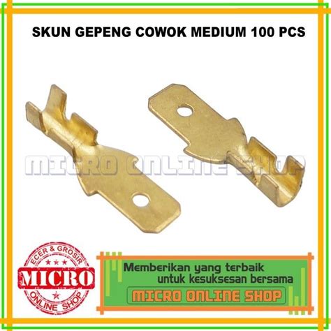 PAKET 100 PCS Skun Gepeng Cowok Medium Soket Kabel Motor Mobil Sekun