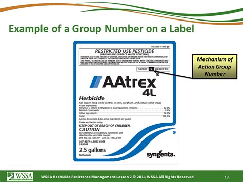 Herbicide Resistant Weeds Training Lessons How Herbicides Work Cotton Incorporated