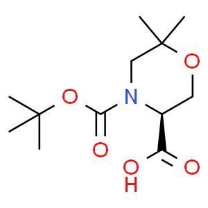 S Dimethyl Morpholine Dicarboxylic Acid Tert Butyl Ester