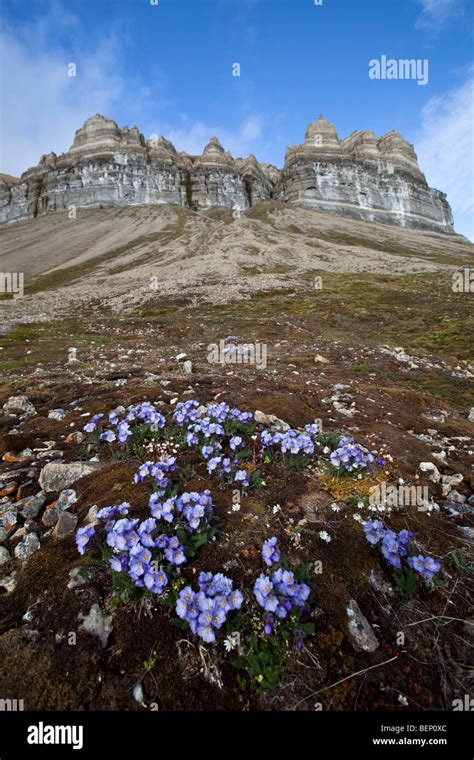 Jacobs Ladder Boreale Hi Res Stock Photography And Images Alamy