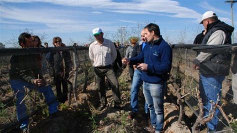 El Iscamen Comienza Junto A Productores La Campa A Para El Control De