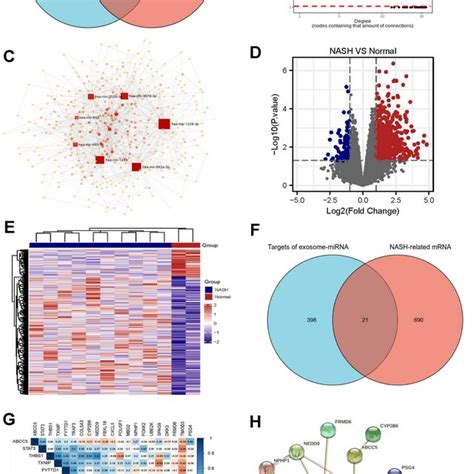 Exosomes Mediated Crosstalk Between Hscs And Hepatic Cells In Nash A