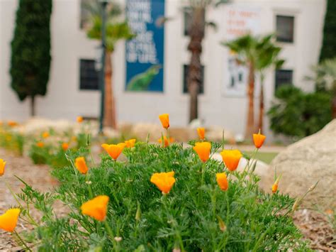 Nature Trail At The Nat To Debut In Balboa Park San Diego Sun