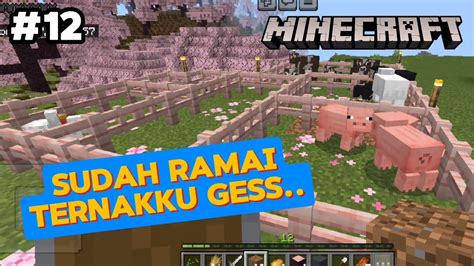 Mencari Hewan Ternak Minecraft Part 12 No Commentary YouTube