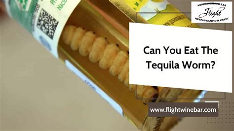 Can You Eat The Tequila Worm 2023