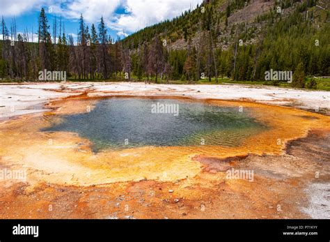 Hot Thermal Pool In Yellowstone National Park Stock Photo Alamy