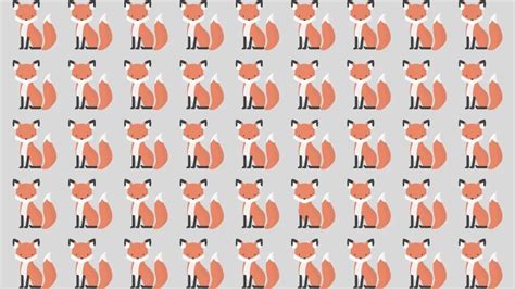 Observation Skills Test Can You Find The Odd Fox In 10 Seconds