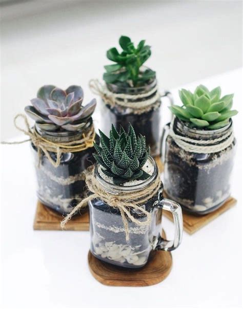 Mod Les De Terrarium Plante En Bocal Ferm Ou Ouvert Jardin