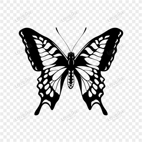 Black And White Butterfly Butterfly Silhouette Vector Swallowtail