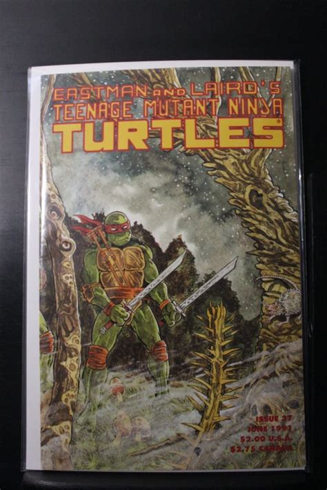 Teenage Mutant Ninja Turtles 37 1991 Comic Books Copper Age