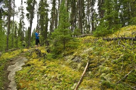 La Ronge Lac La Ronge Provincial Park Trail Tourism Saskatchewan