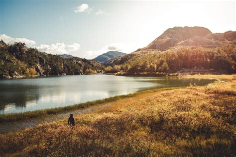 Reizen In Noorwegen Wild Van Het Hoge Noorden