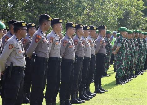 Rpp Segera Terbit Jabatan Asn Bisa Di Isi Tni Dan Polri