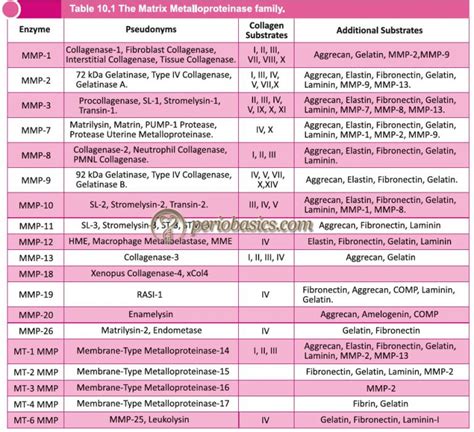 Matrix Metalloproteinases Mmps And Their Role In Periodontal Diseases