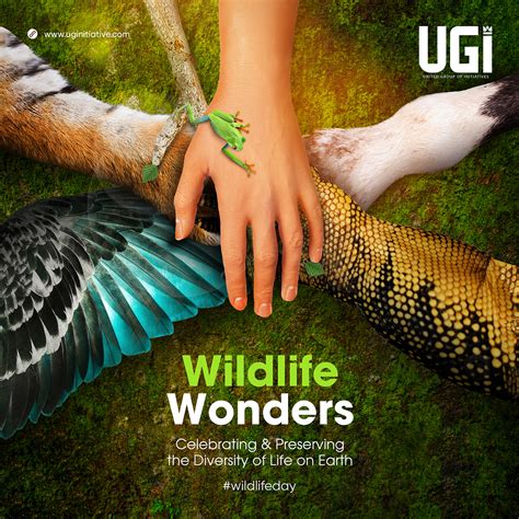 Wildlife Wonders on Behance