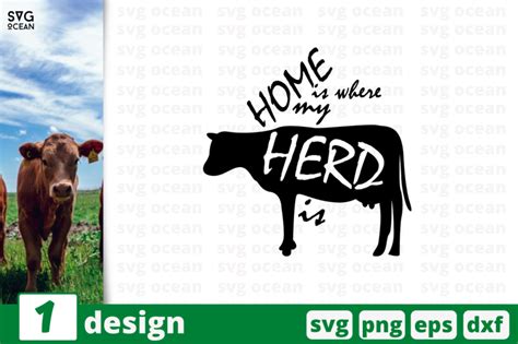 1 Cow Svg Bundle Quotes Cricut Svg By Svgocean Thehungryjpeg