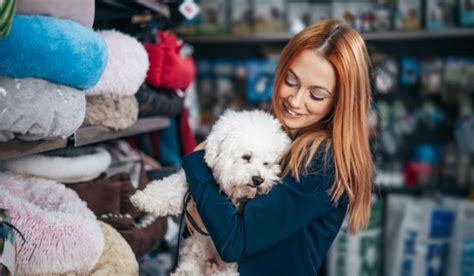 Te Presentamos Las Mejores Tiendas De Mascotas En Santander Mivet