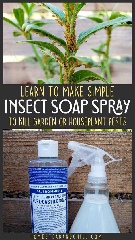 How To Make Bug Killer For Plants | Home and Garden Reference