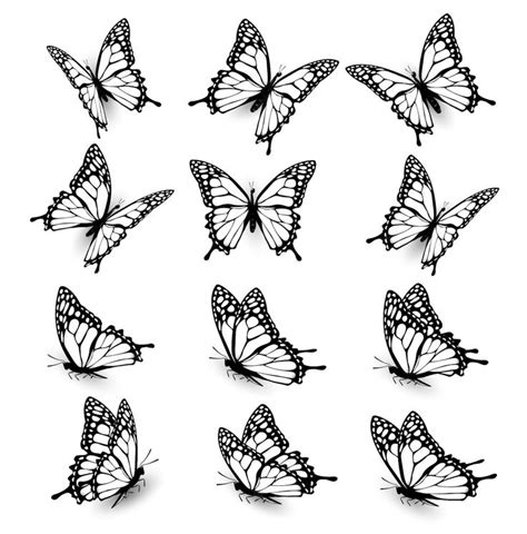 Premium Vector Collection Of Butterflies Flying In Different