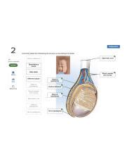 Mod Prelab Png Explanation Correctly Label The Following